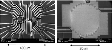 Micrographs of nanowire photodetector arrays